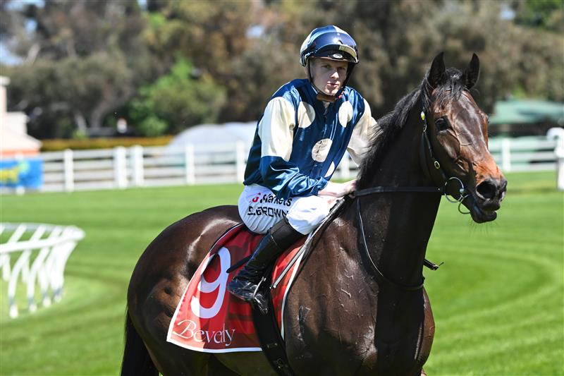 MELBOURNE, AUSTRALIA - OCTOBER 10: Ethan Brown riding In'kantosstar to win Race 1 on Caulfield Guineas Day. (Getty)