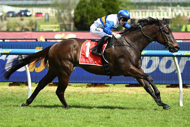 MELBOURNE, AUSTRALIA - OCTOBER 10: Logan Bates riding Jigsaw winning race 6, the Henley Homes Schillaci Stakes  during Melbourne Racing at Caulfield Racecourse on October 10, 2026 in Melbourne, Australia. (Photo by Vince Caligiuri/Getty Images)