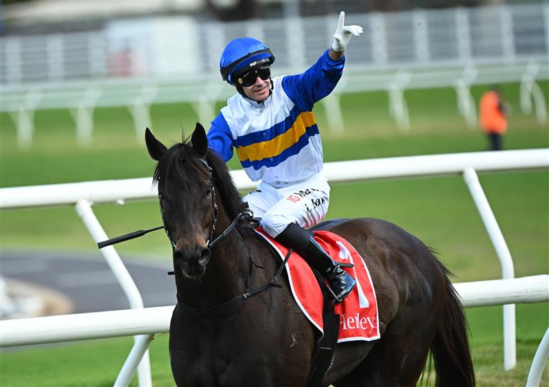 MELBOURNE, AUSTRALIA - OCTOBER 10: Logan Bates riding Jigsaw winning race 6, the Henley Homes Schillaci Stakes  during Melbourne Racing at Caulfield Racecourse on October 10, 2026 in Melbourne, Australia. (Photo by Vince Caligiuri/Getty Images)
