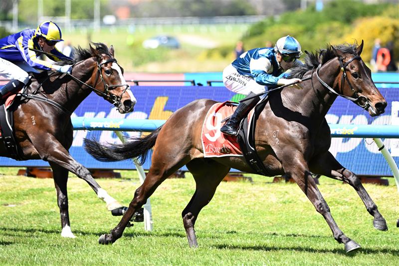 MELBOURNE, AUSTRALIA - OCTOBER 10: Ethan Brown riding In'kantosstar to win Race 1 on Caulfield Guineas Day. (Getty)