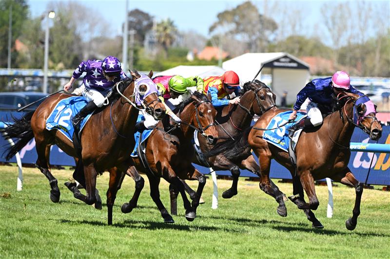 MELBOURNE, AUSTRALIA - OCTOBER 10: James McDonald riding Pinhole winning from Daniel Stackhouse riding Suntora and Blake Shinn riding Knight