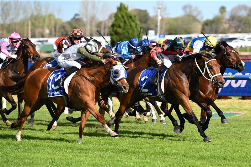MELBOURNE, AUSTRALIA - OCTOBER 10: James McDonald riding Lady Shenandoah defeats Luke Cartwright riding Changing Colours and Craig Newitt riding Welcometotheshow (r) in race 9, the Hyland Race Colours Toorak Handicap  during Melbourne Racing at Caulfield Racecourse on October 10, 2026 in Melbourne, Australia. (Photo by Vince Caligiuri/Getty Images)
