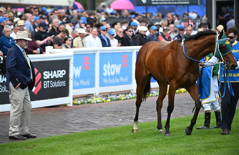 MELBOURNE, AUSTRALIA - OCTOBER 10: Trainer Peter Moody looks over Sheza Alibi after race 7, the Sportsbet Might And Power during Melbourne Racing at Caulfield Racecourse on October 10, 2026 in Melbourne, Australia. (Photo by Vince Caligiuri/Getty Images)