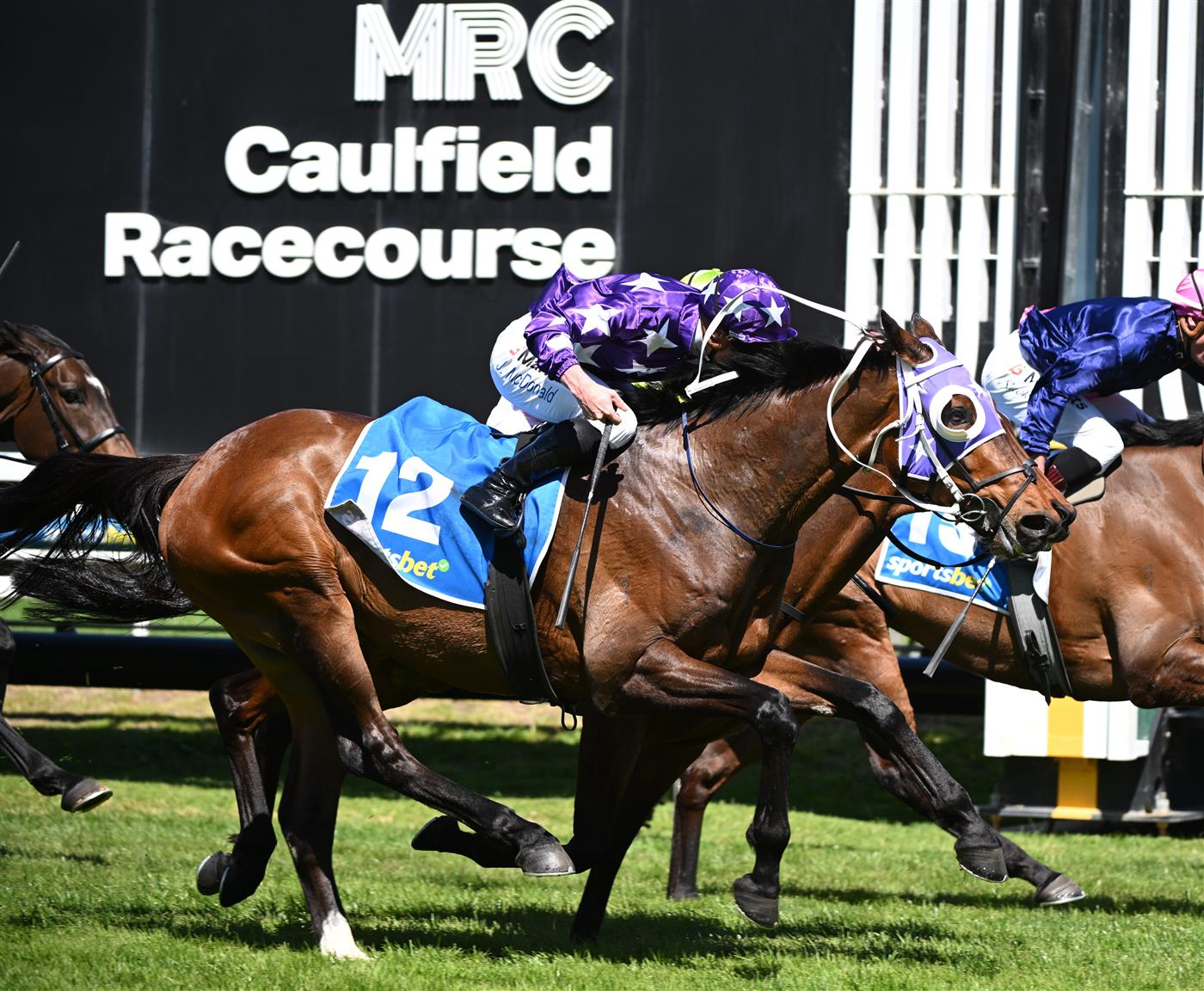 MELBOURNE, AUSTRALIA - OCTOBER 10: James McDonald riding Pinhole winning from Daniel Stackhouse riding Suntora and Blake Shinn riding Knight