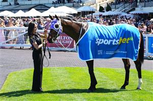 MELBOURNE, AUSTRALIA - OCTOBER 10: Pinhole after winning race 4, the Sportsbet Herbert Power Stakes during Melbourne Racing at Caulfield Racecourse on October 10, 2026 in Melbourne, Australia. (Photo by Vince Caligiuri/Getty Images)