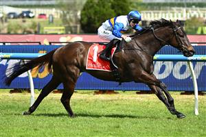 MELBOURNE, AUSTRALIA - OCTOBER 10: Logan Bates riding Jigsaw winning race 6, the Henley Homes Schillaci Stakes  during Melbourne Racing at Caulfield Racecourse on October 10, 2026 in Melbourne, Australia. (Photo by Vince Caligiuri/Getty Images)