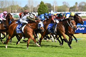 MELBOURNE, AUSTRALIA - OCTOBER 10: James McDonald riding Lady Shenandoah defeats Luke Cartwright riding Changing Colours and Craig Newitt riding Welcometotheshow (r) in race 9, the Hyland Race Colours Toorak Handicap  during Melbourne Racing at Caulfield Racecourse on October 10, 2026 in Melbourne, Australia. (Photo by Vince Caligiuri/Getty Images)
