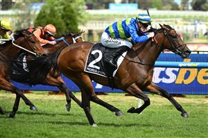 MELBOURNE, AUSTRALIA - OCTOBER 10: Mark Zahra riding Point Barrow winning race 5, the Hkjc World Pool Northwood Plume Stakes during Melbourne Racing at Caulfield Racecourse on October 10, 2026 in Melbourne, Australia. (Photo by Vince Caligiuri/Getty Images)