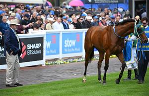 MELBOURNE, AUSTRALIA - OCTOBER 10: Trainer Peter Moody looks over Sheza Alibi after race 7, the Sportsbet Might And Power during Melbourne Racing at Caulfield Racecourse on October 10, 2026 in Melbourne, Australia. (Photo by Vince Caligiuri/Getty Images)