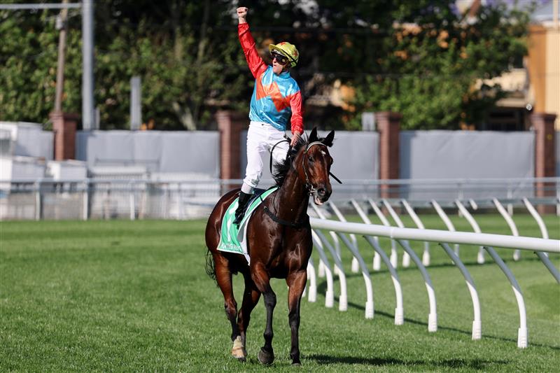 Jockey Zac Purton, rider of Ka Ying Rising, celebrates winning the Everest 2025 race at the Royal Randwick racecourse in Sydney on October 18, 2025.  (Photo by DAVID GRAY / AFP) / -- IMAGE RESTRICTED TO EDITORIAL USE - STRICTLY NO COMMERCIAL USE -- (Photo by DAVID GRAY/AFP via Getty Images)          