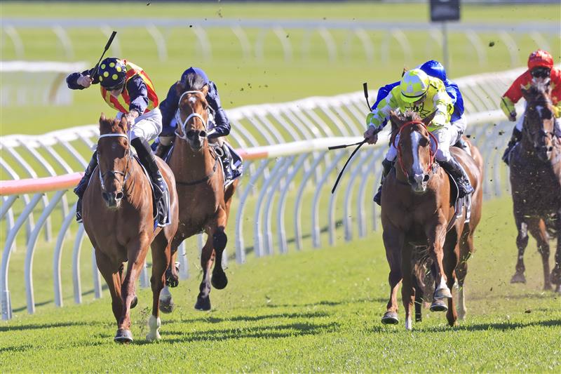 SYDNEY, AUSTRALIA - OCTOBER 16: James McDonald on Nature Strip wins the Everest during Sydney Racing at Royal Randwick Racecourse on October 16, 2021 in Sydney, Australia. (Photo by Mark Evans/Getty Images)