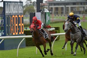 Redzel, ridden by jockey Kerrin McEvoy (C) wins the Everest 2017 horse race, the world richest turf race at Royal Randwick race course in Sydney on October 14, 2017. / AFP PHOTO / PETER PARKS / -- IMAGE RESTRICTED TO EDITORIAL USE - STRICTLY NO COMMERCIAL USE --        (Photo credit should read PETER PARKS/AFP via Getty Images)