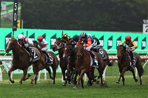 SYDNEY, AUSTRALIA - OCTOBER 19: Craig Williams riding Bella Nipotina wins Race 7 The TAB Everest during Sydney Racing - The Everest Day at Royal Randwick Racecourse on October 19, 2024 in Sydney, Australia. (Photo by Jeremy Ng/Getty Images)