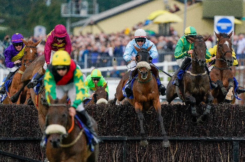 2026 Munster National Handicap Chase Tips - 7/1 selection for Sunday's feature at Limerick