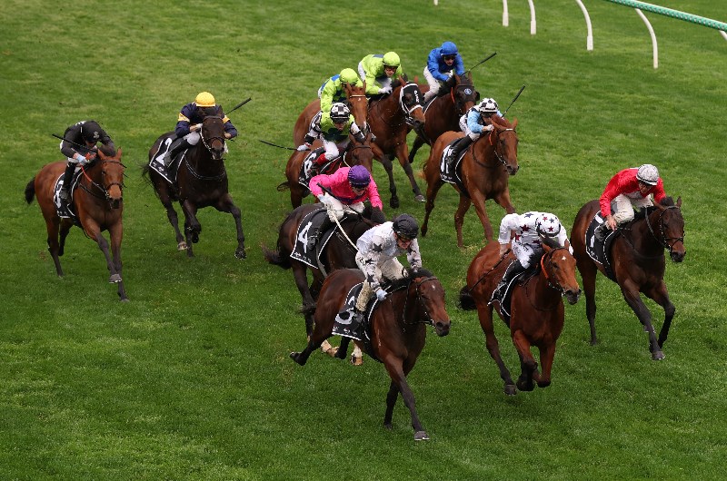 Coolmore Stud Stakes 2026 Betting Odds - A New Chapter for The Next Episode