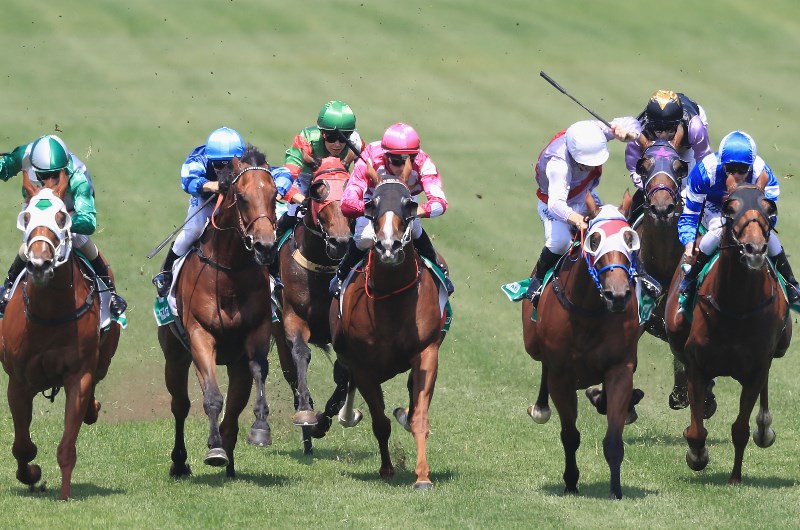 Grafton tips - 20/10