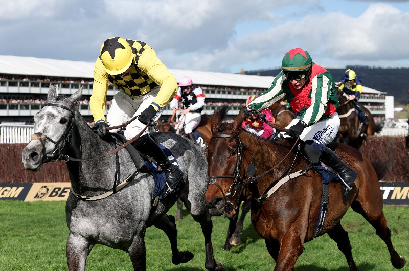 kitzbuhel cheltenham