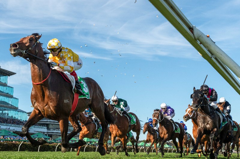 Cox Plate Barriers