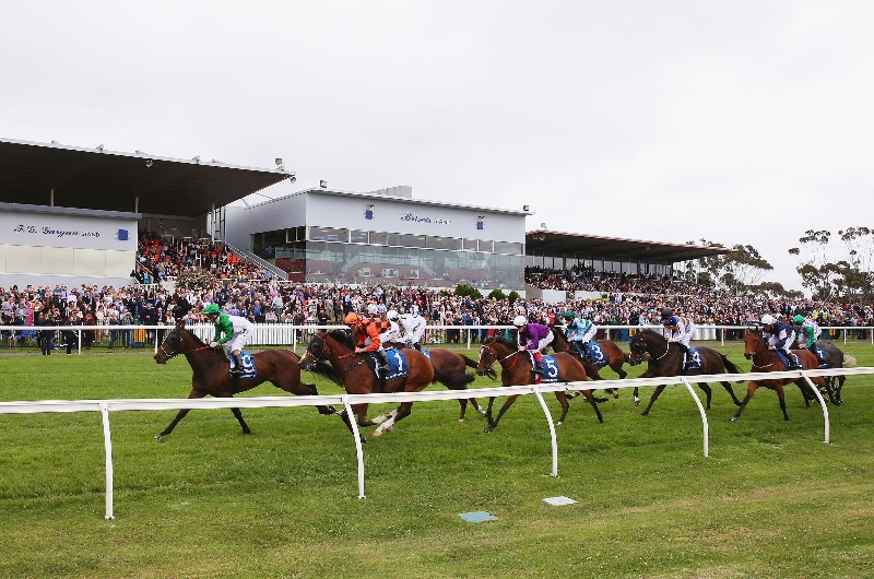 Geelong tips for 21.10.2026