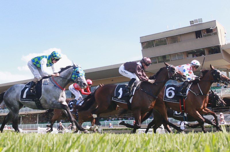 Warwick Farm tips for 21.10.2026