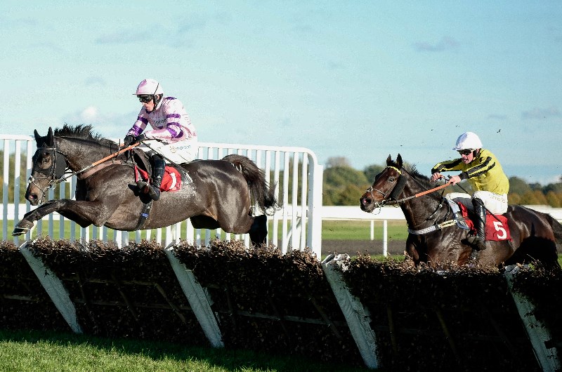 2026 Panoramic Hurdle Tips - Owen's star can land Carlisle feature