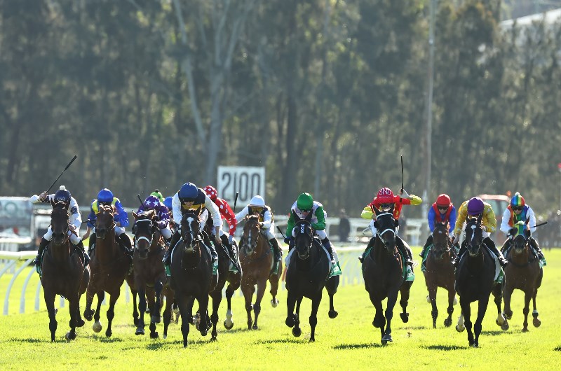 Gosford tips for 22.10.2026