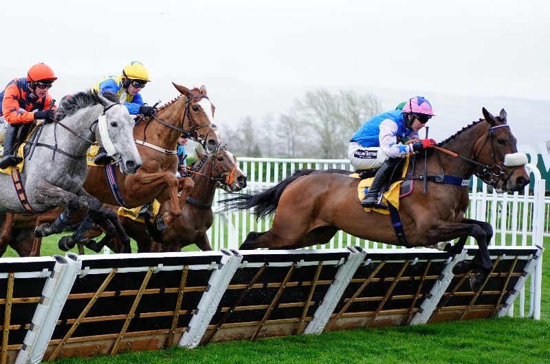 Sharp Novices' Hurdle