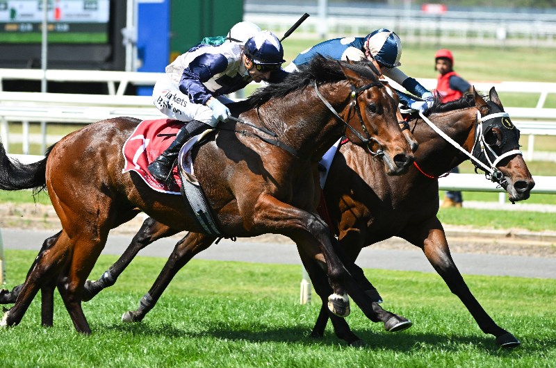 Turffontein racing