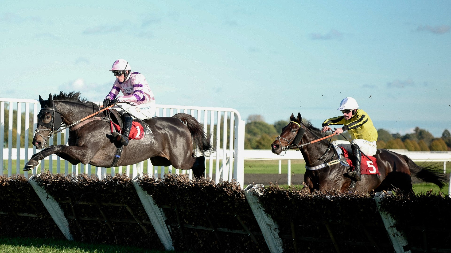 panoramic hurdle 2026 tips
