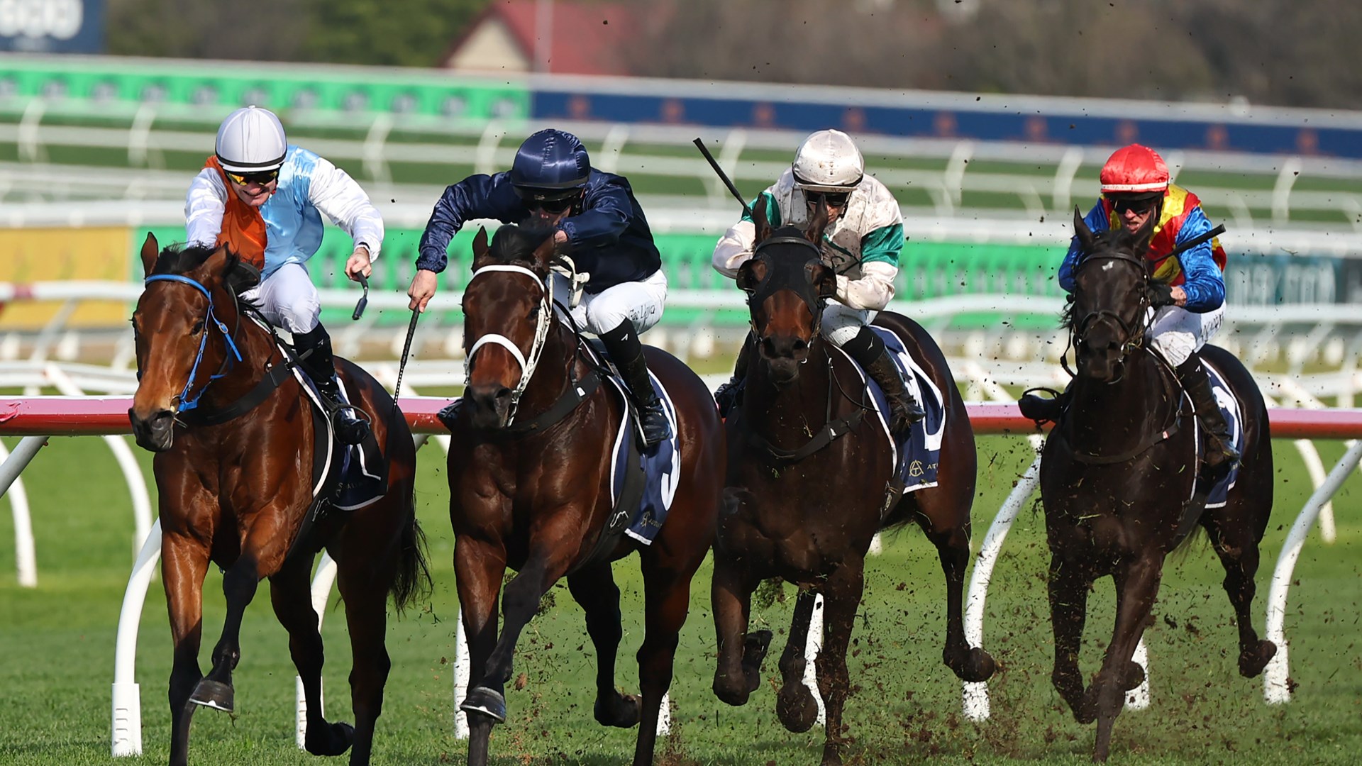 2026 Spring Champion Stakes Barrier Draw - Final Field & Barriers