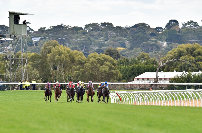 Get $2.30 for any 2+ of Deadly Force, Strong Box or Raghnall to win at Mornington