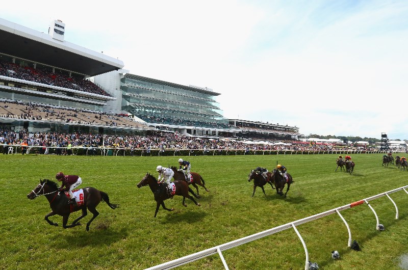 Flemington tips for 24.10.2026