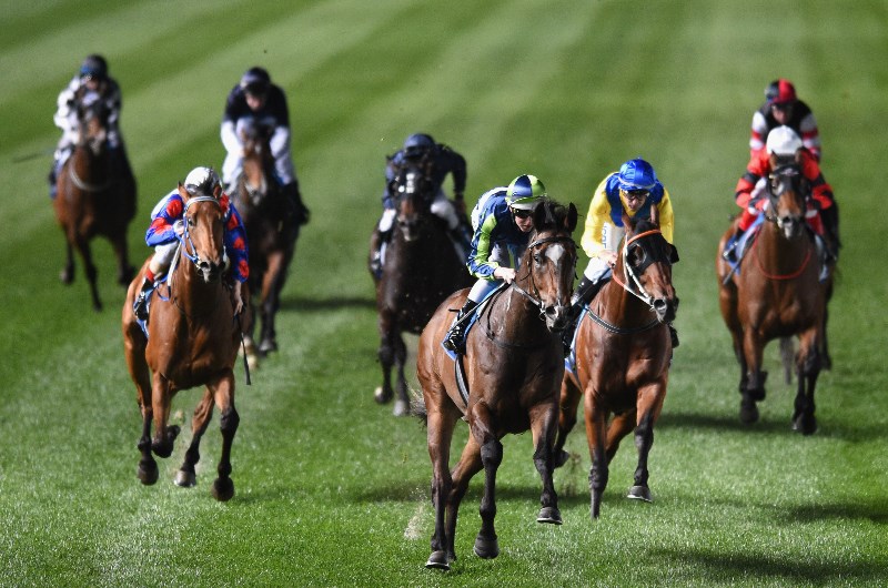 Launceston tips - 23/10