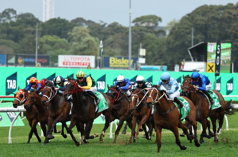 Randwick Horse Racing