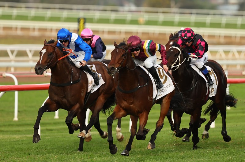 Scone Horse Racing