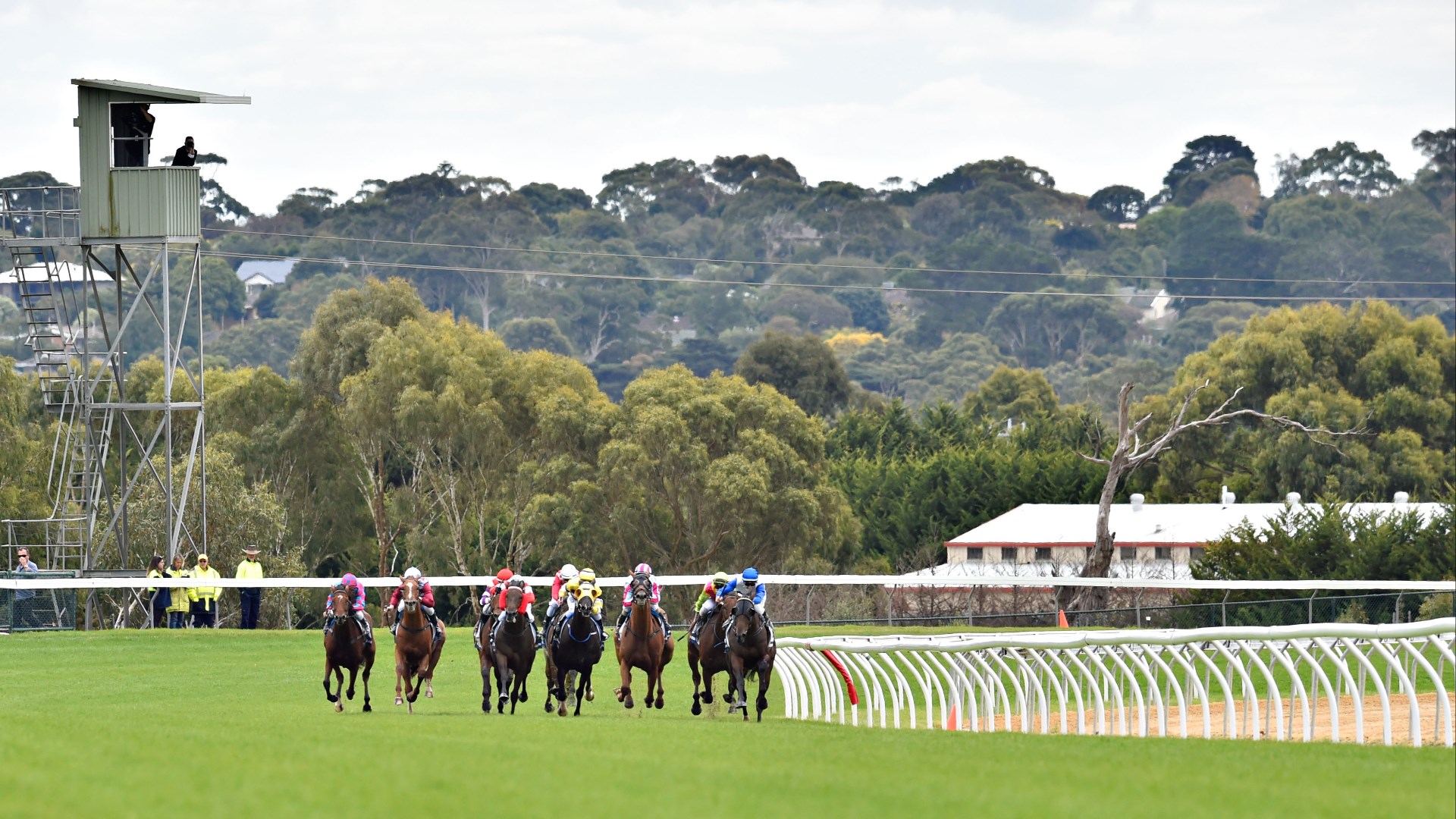 Mornington Racing Tips for November 1