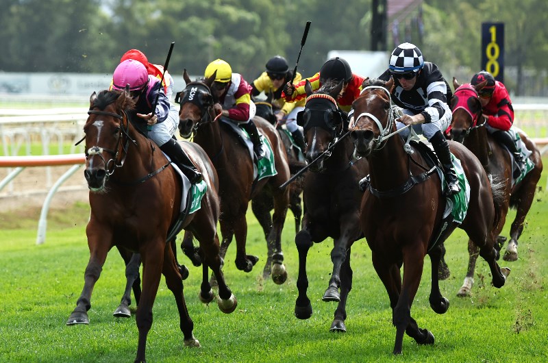 Australian Horse Racing