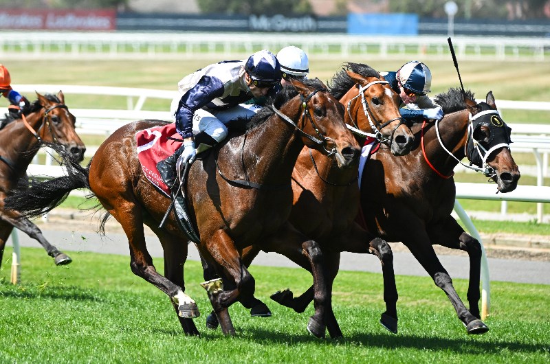 Australian Horse Racing