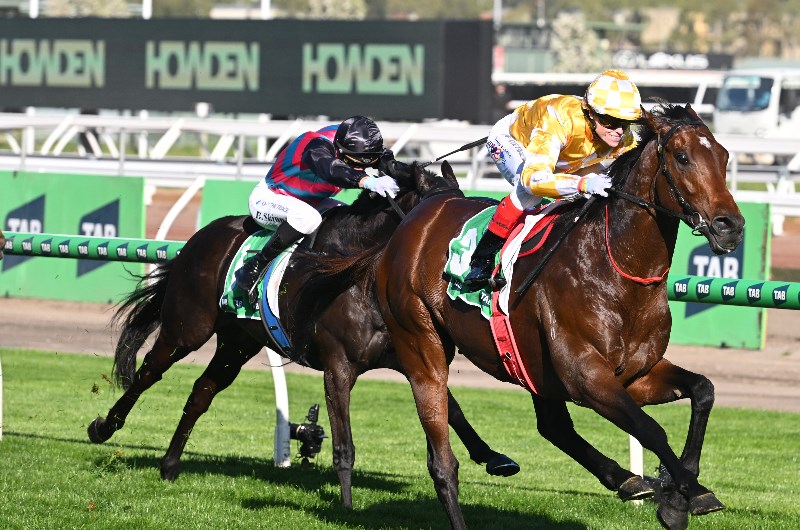 Big Saturday Bets for October 24