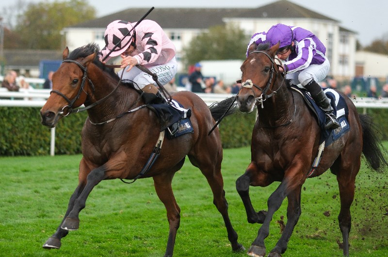 Newspaper Racing Tips - Bengal Tiger and Seaniecon the tipster's Saturday double