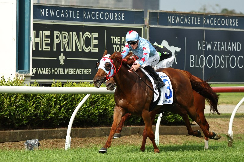 Newcastle Horse Racing
