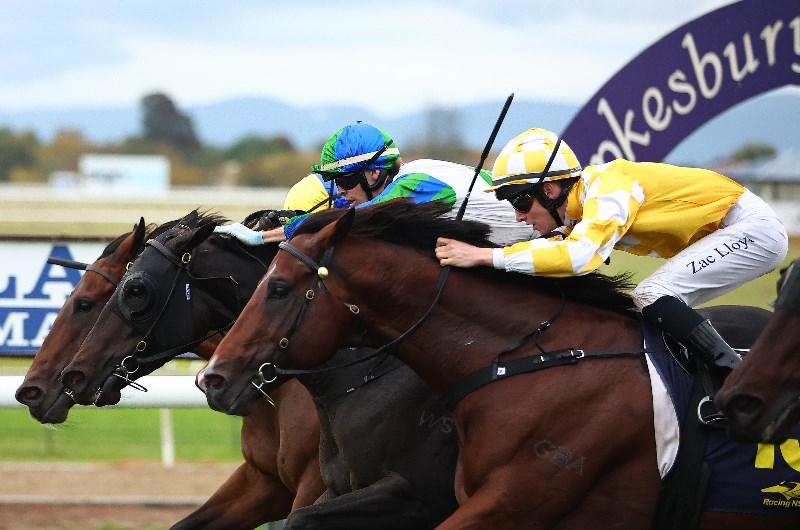 Hawkesbury Horse Racing