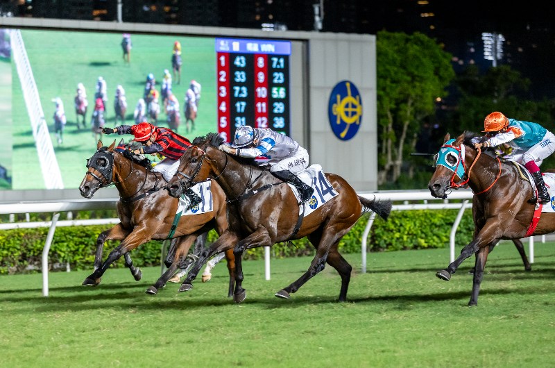Sha Tin Horse Racing