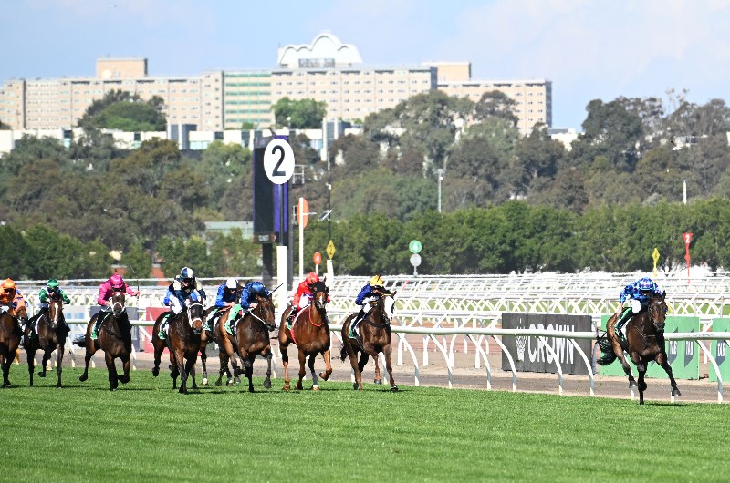 2025 Empire Rose Stakes