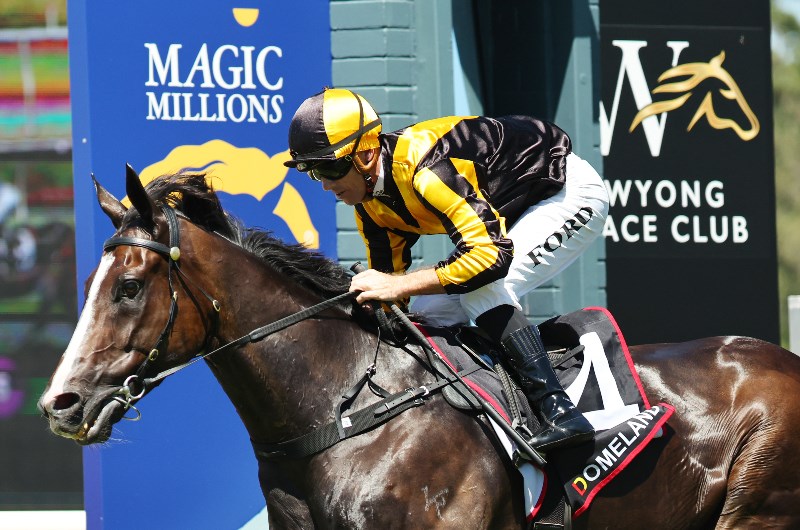 Wyong Horse Racing