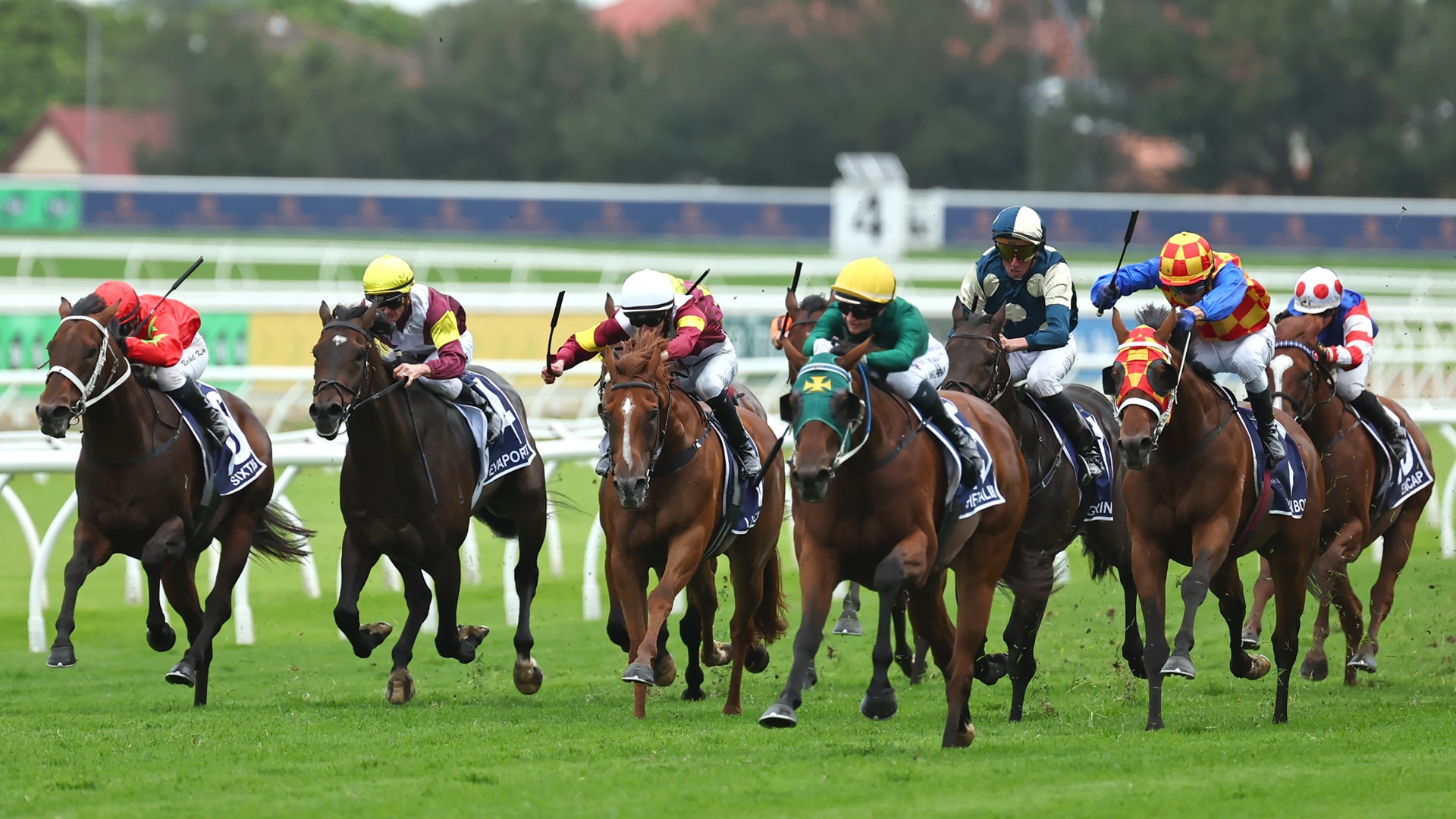 The Golden Eagle 2026 Betting Tips - No Excuses for Sheza Alibi