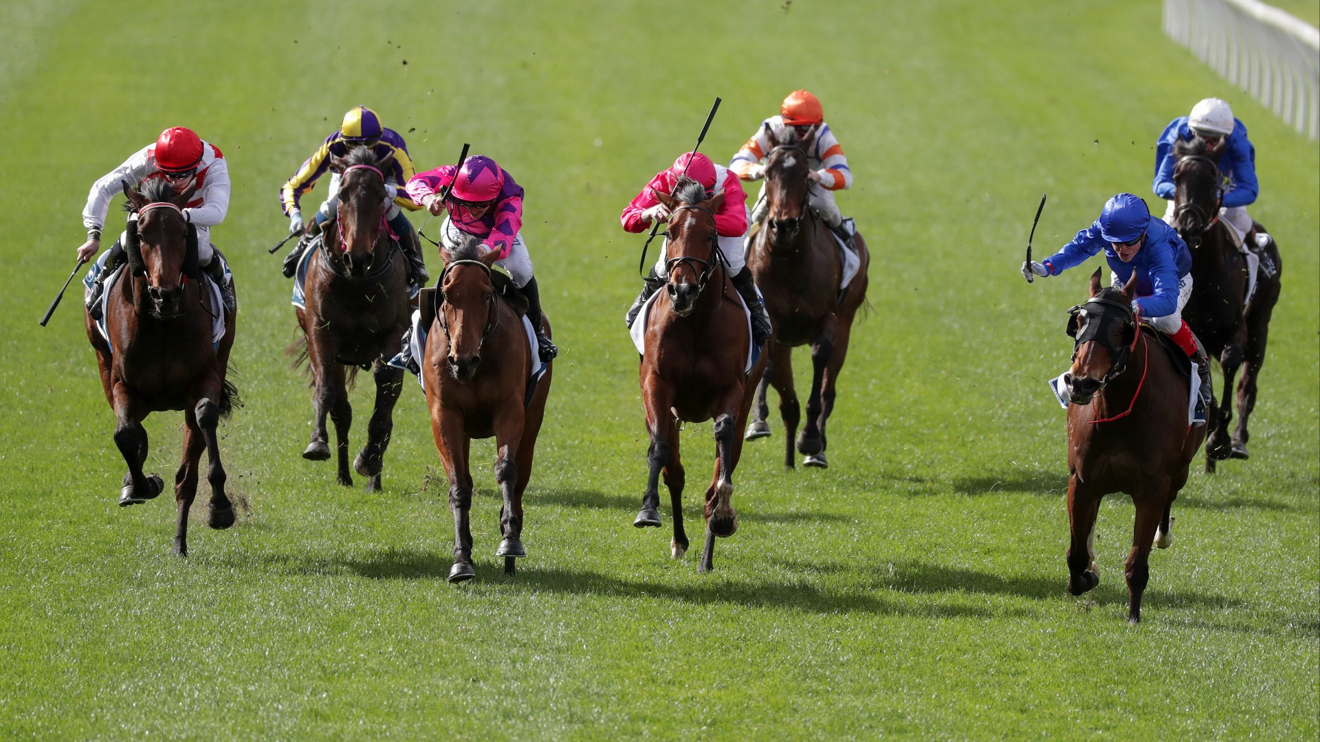 Northam Betting Tips for October 29, 2026 - Frosted Warrior Warms to the Task