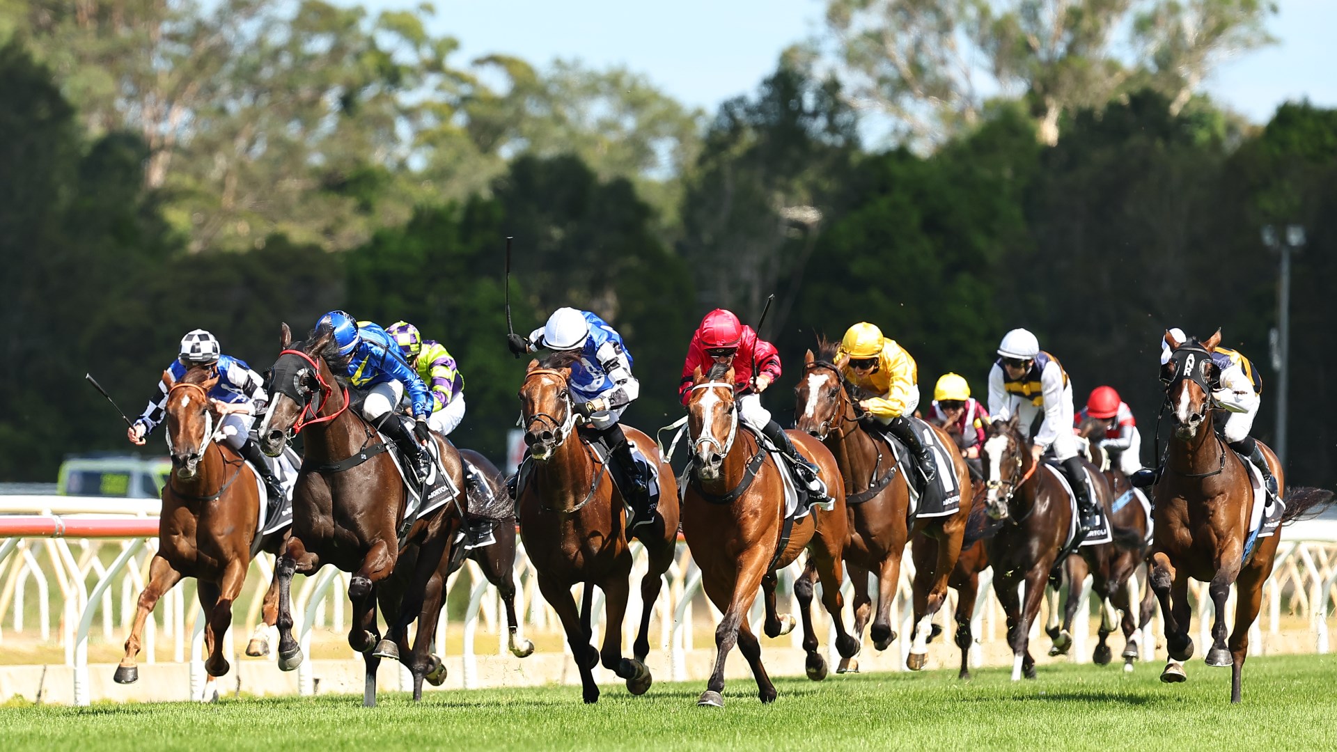 Wyong Betting Tips for October 29, 2026 - Patience Could Pay a Regal Dividend