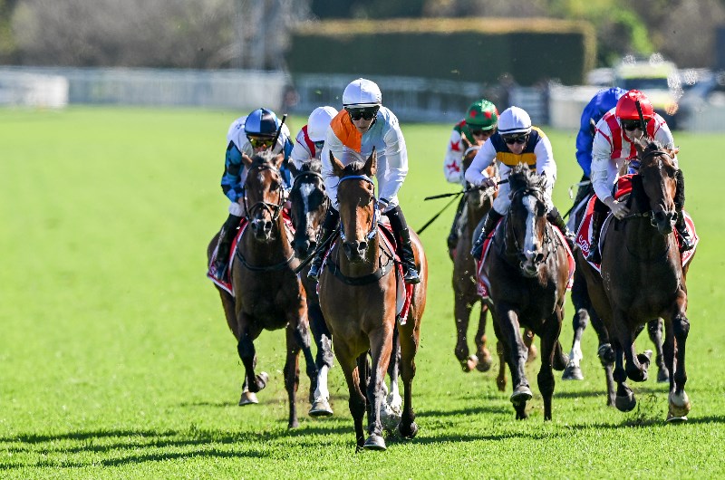Australian Horse Racing