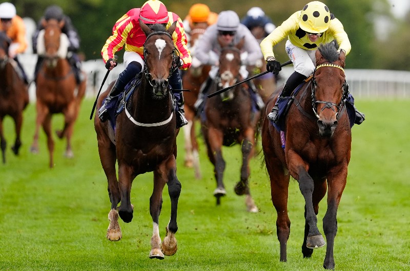 Racing at Greyville